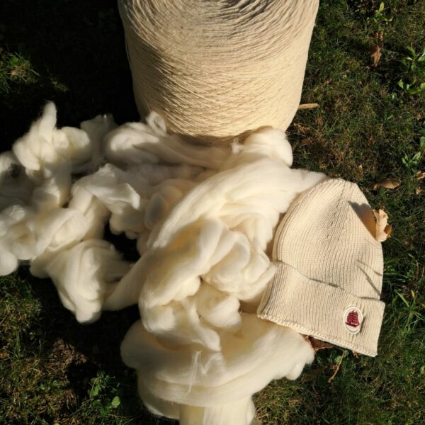 Segard Masurel french sheep wool